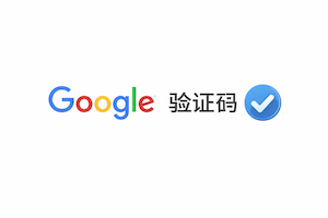 Google验证码（2个月内任意接）