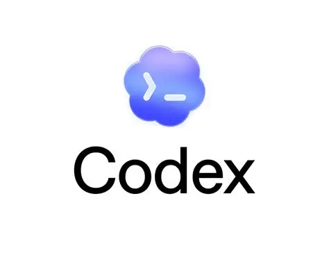 codex短效接码-只可接一次