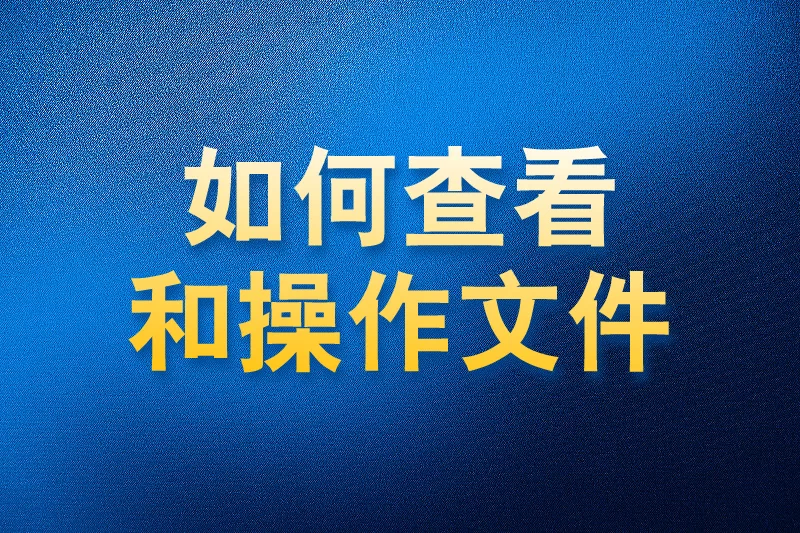 国内APP版私域神器如何查看和操作文件