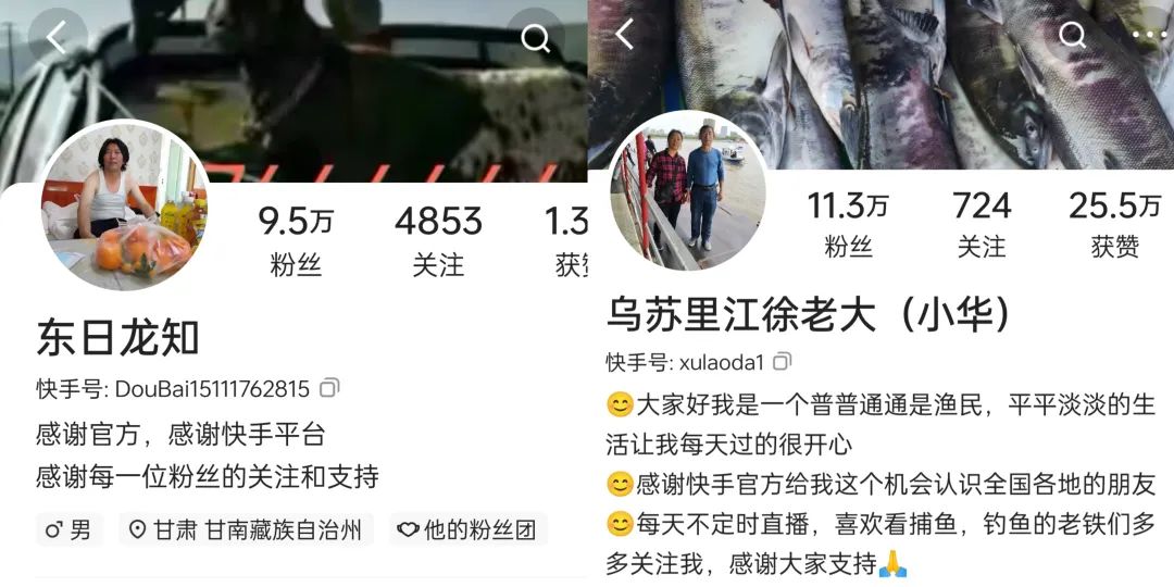 换一个角度看快手