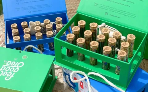 中国茶成功出海中东电商市场！创始人竟是阿拉伯人