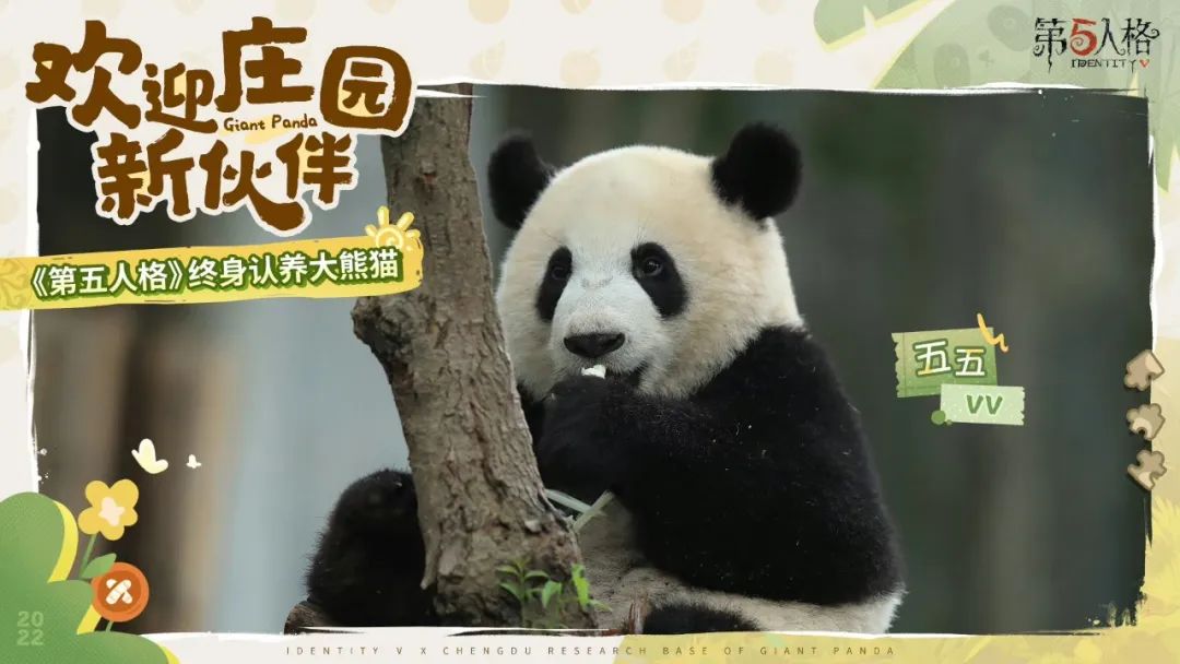 网易搏一把“小众赛道”，却让3亿玩家疯追了五年