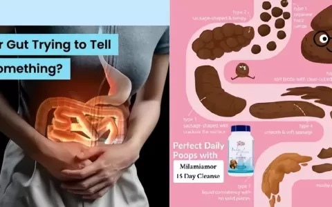 “疏通美国人的肠道！”肠清保健品霸榜TikTok美区，周销额百万美刀