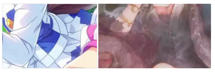 堆料个性美术，能否带动玩法？《Memento Mori》的困境