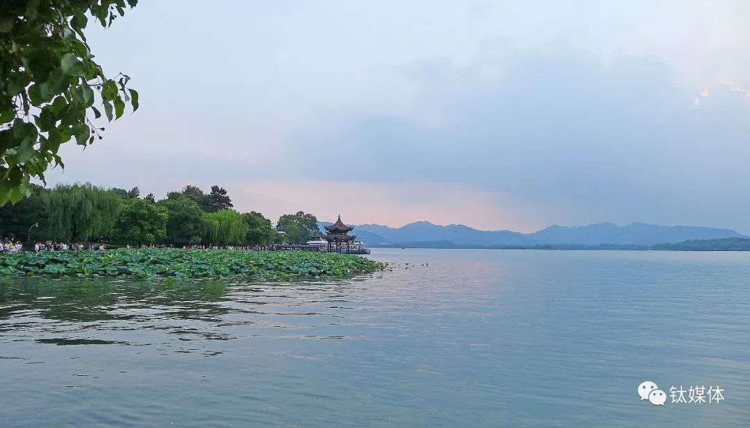 逆势增长超20%，九牧凭什么成为“中国第一 世界前三”？