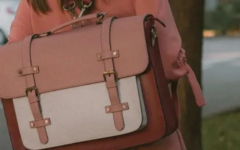 从代工厂到亚马逊品类第一，箱包大卖如何实力出海？