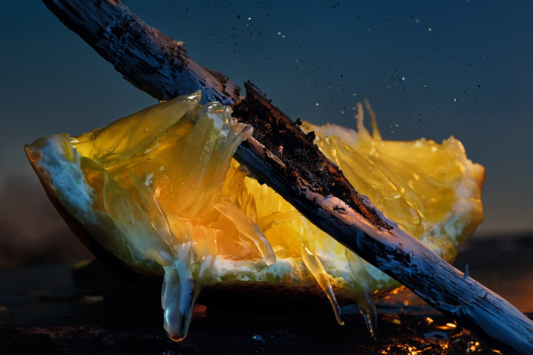 马斯克带货男士香水！畅销欧美的Dior Sauvage能有多圈钱？