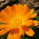 微信用户的头像